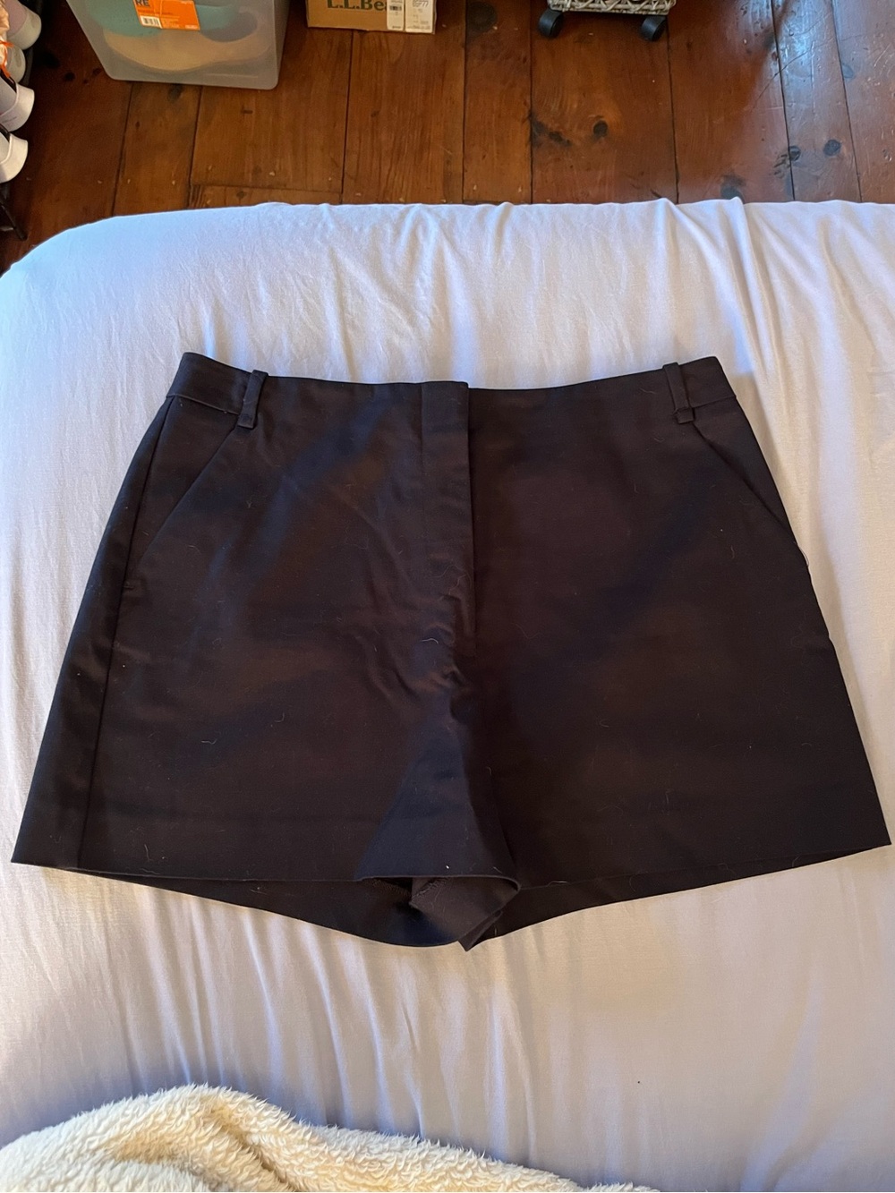 Zara Black Tailored High-Rise Women's Shorts